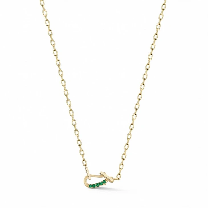 Horseshoe Buckle Necklace high quality