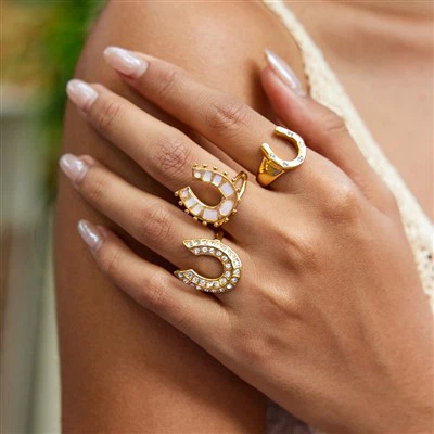 ステンレス鋼の馬蹄リング